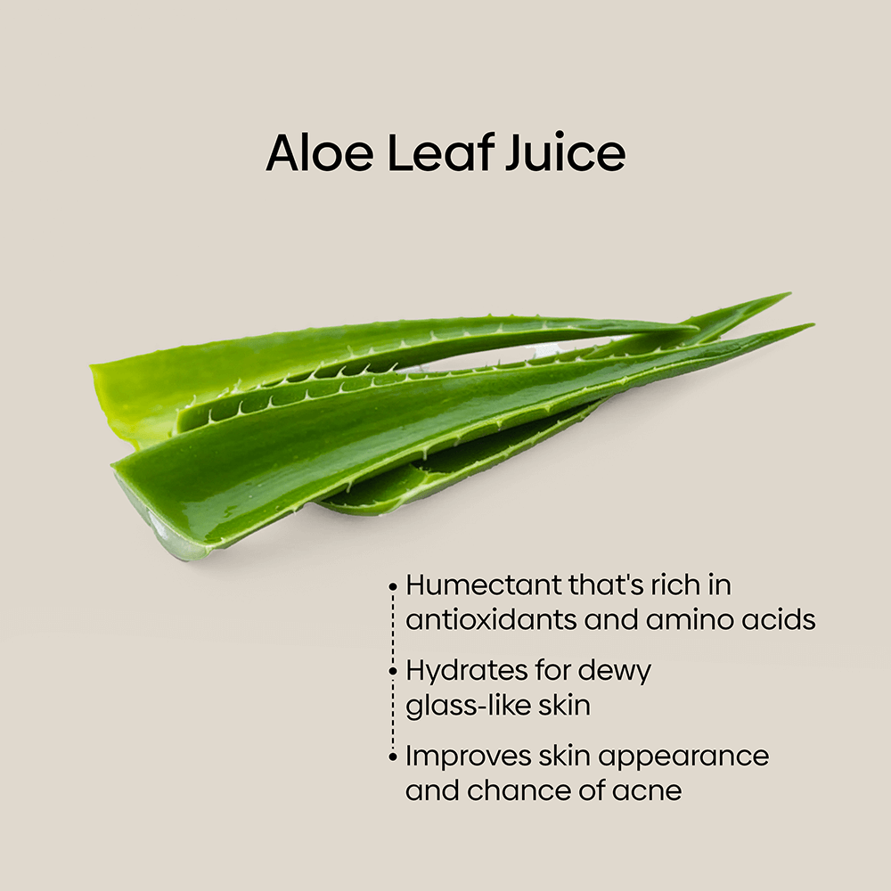 Botanical Foaming Oil Cleanser