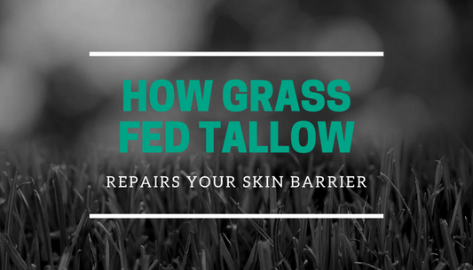 Why Grass-Fed Tallow Is the Barrier Repair Your Skin Has Been Waiting For