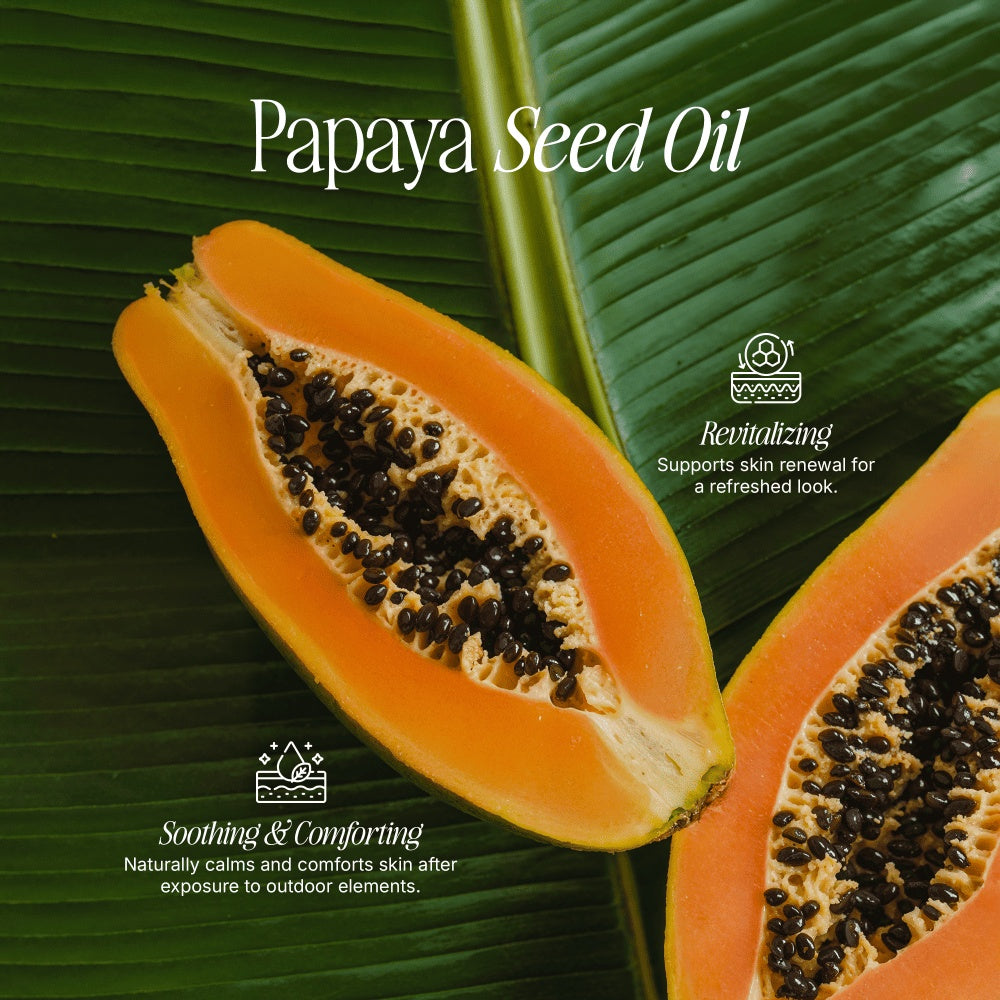 Tallow & Zinc Sun Stick (2 Pack)