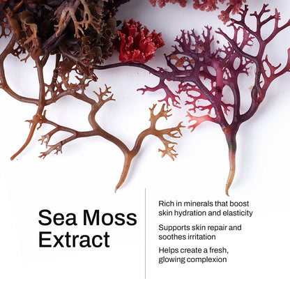 Manuka Honey Sea Moss Hydrating Oil