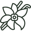 Alt Image
